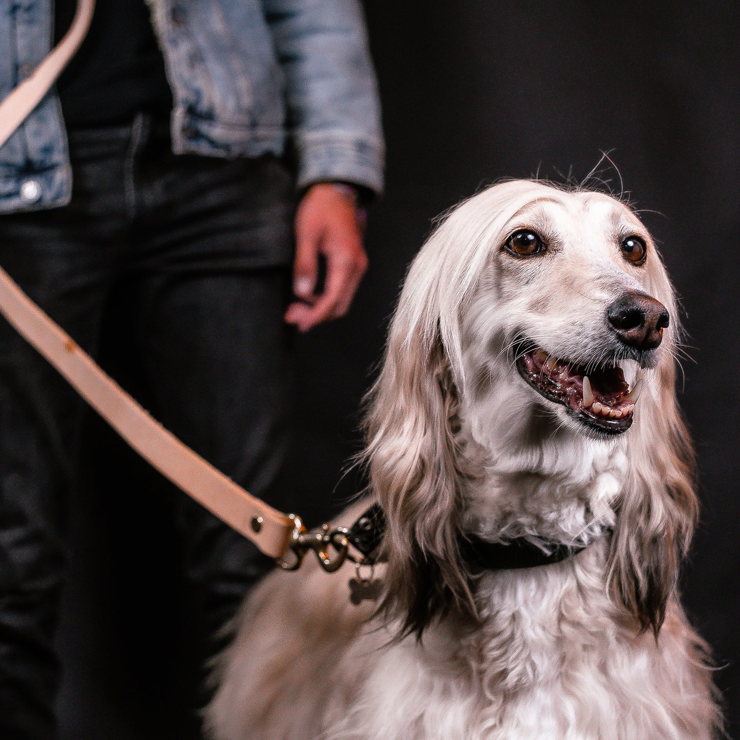 Hands-Free Nude Leather Leash