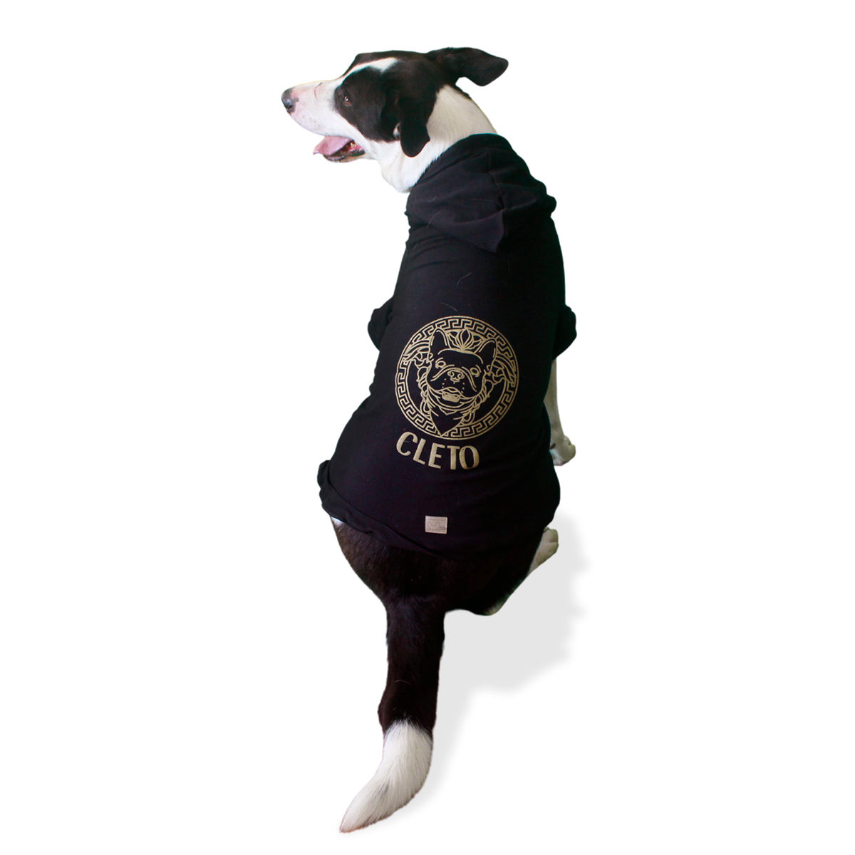 Perro de raza grande negro y blanco con sudadera con gorro negra y diseño dorado