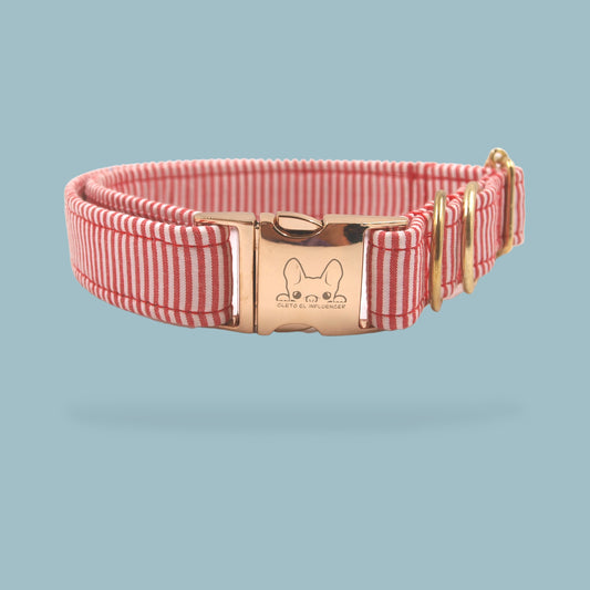 Red Striped Collar
