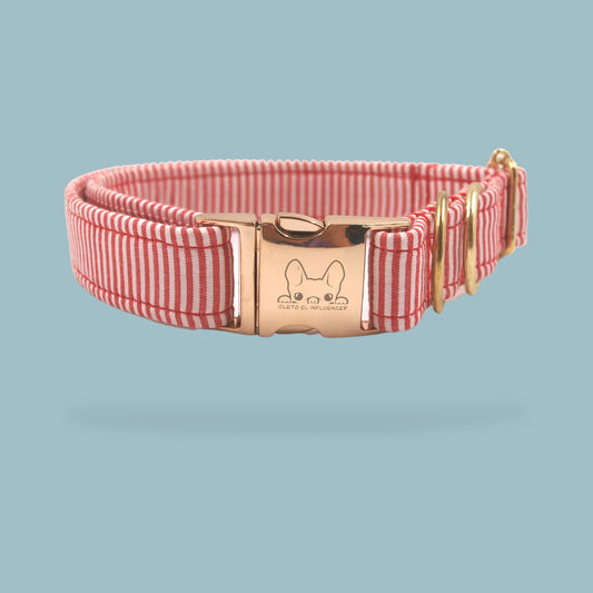 Collar Red Stripes