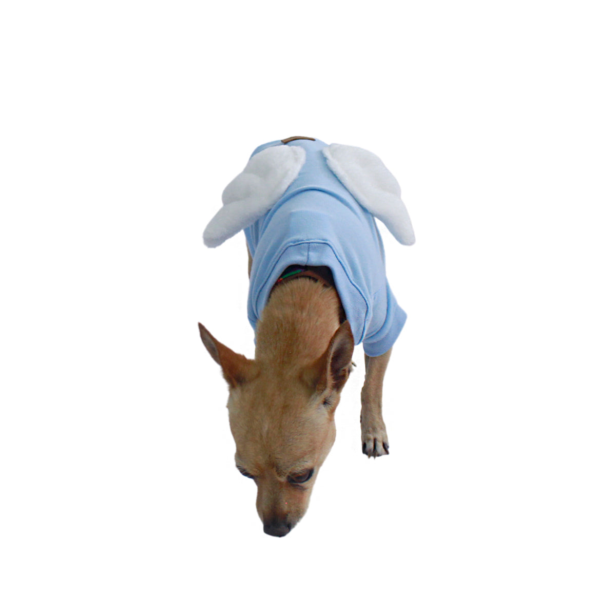Sudadera Little Angel