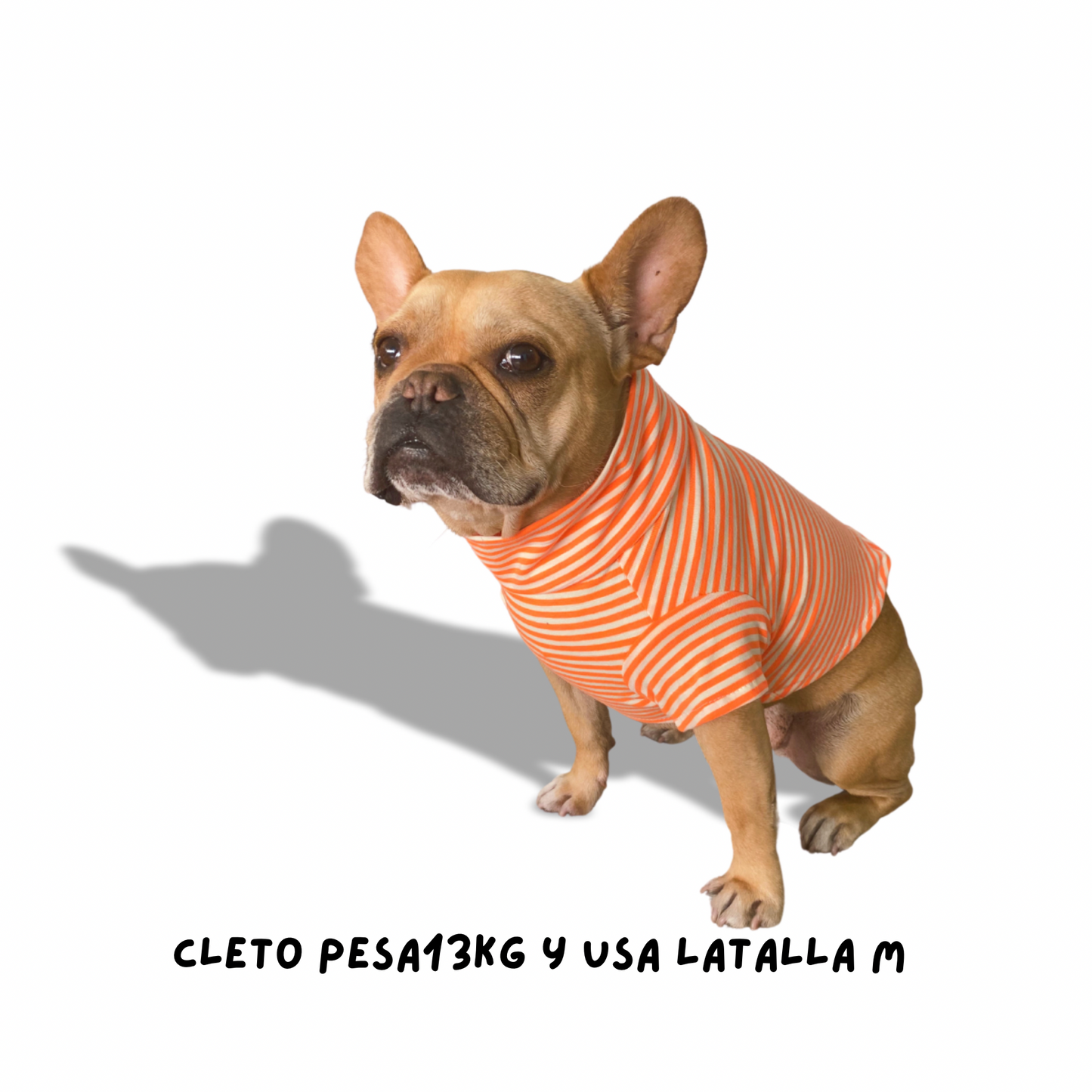 Playera Stripes