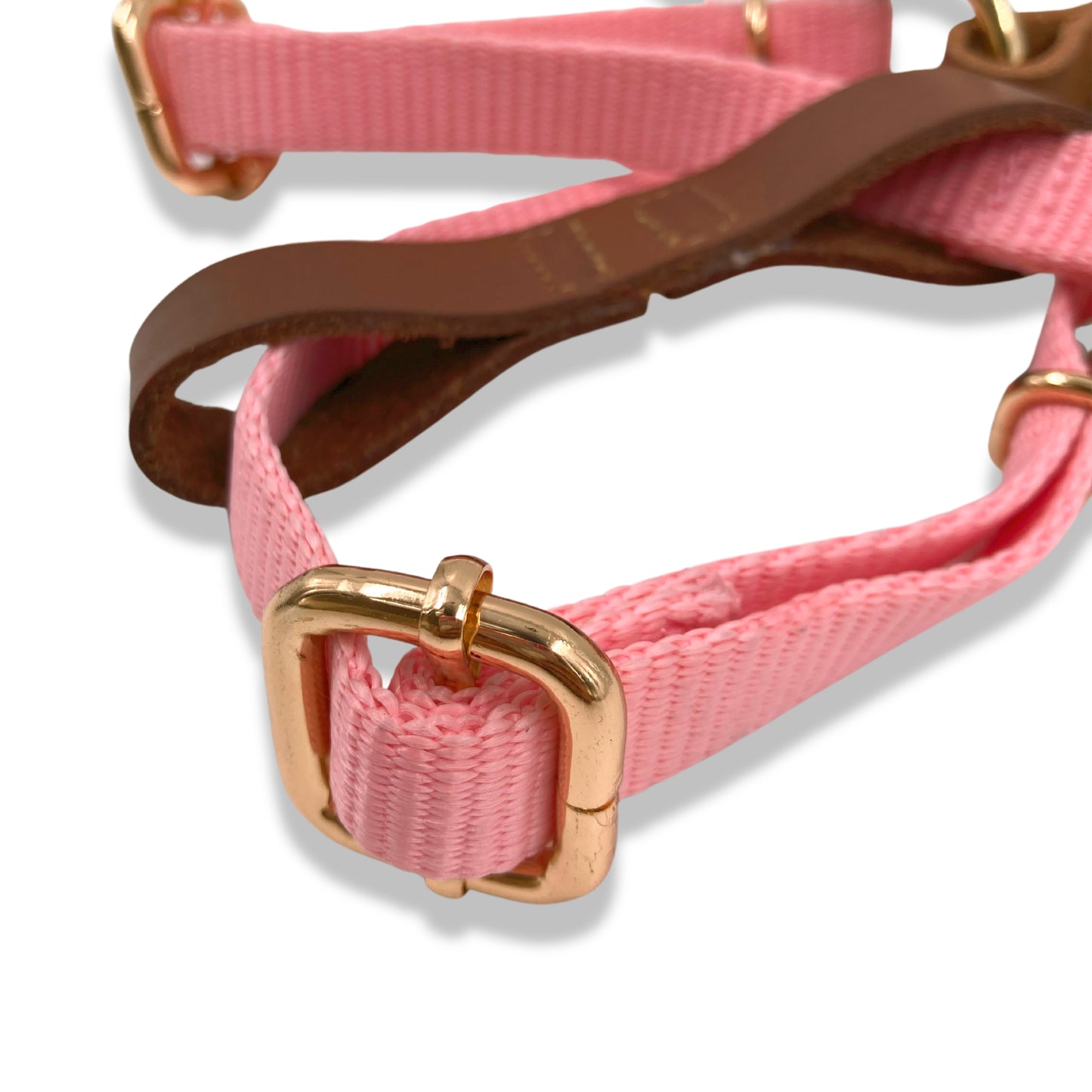 Cupcake Harness